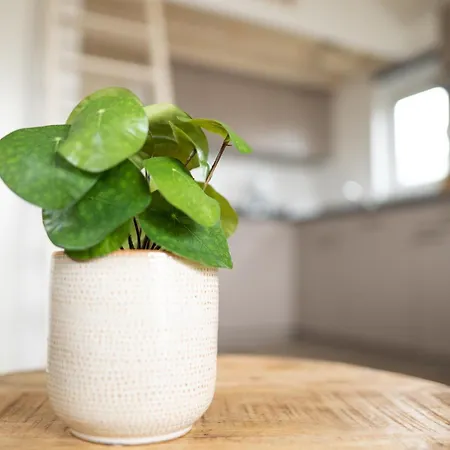 Prázdninový dům Bis 4 Personen Ohne Hund *