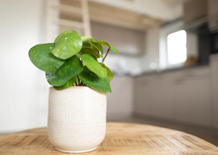 Prázdninový dům Bis 4 Personen Ohne Hund *